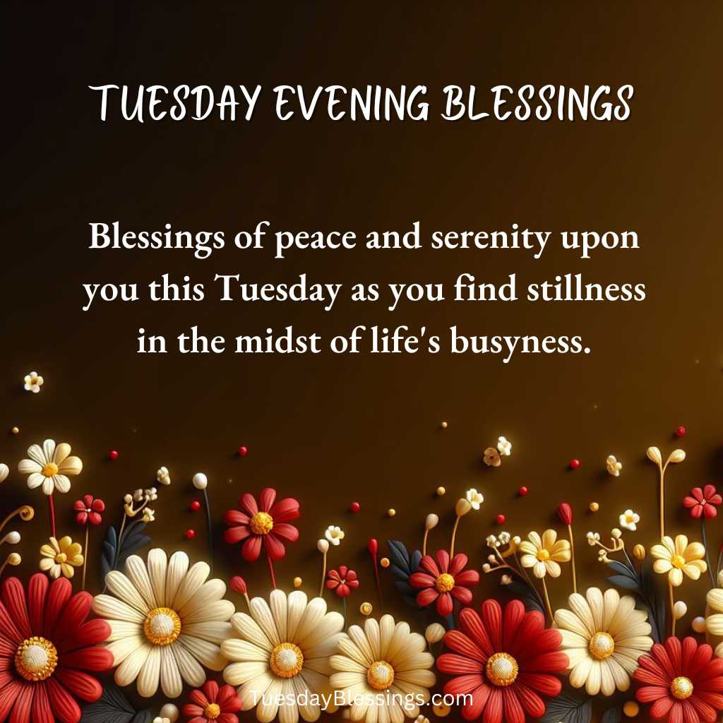 Blessings of peace and serenity upon you this Tuesday as you find stillness in the midst of life's busyness.