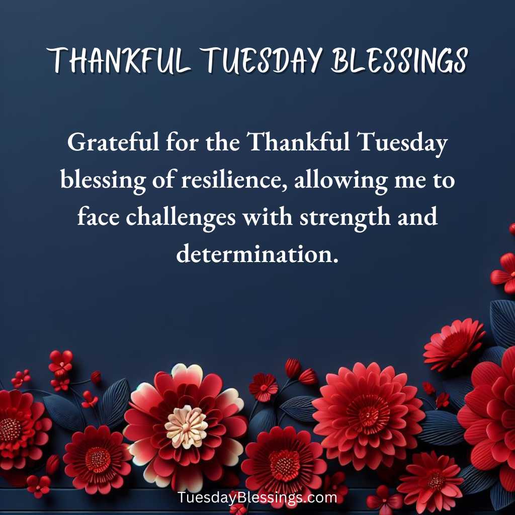 Grateful for the Thankful Tuesday blessing of resilience, allowing me to face challenges with strength and determination.