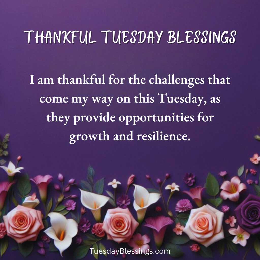 I am thankful for the challenges that come my way on this Tuesday, as they provide opportunities for growth and resilience.