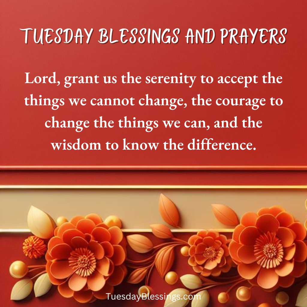 Lord, grant us the serenity to accept the things we cannot change, the courage to change the things we can, and the wisdom to know the difference.