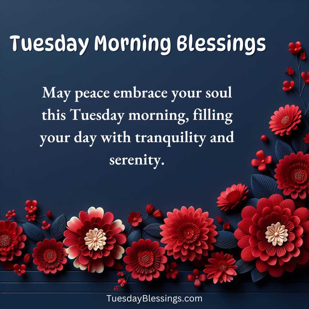 May peace embrace your soul this Tuesday morning, filling your day with tranquility and serenity.