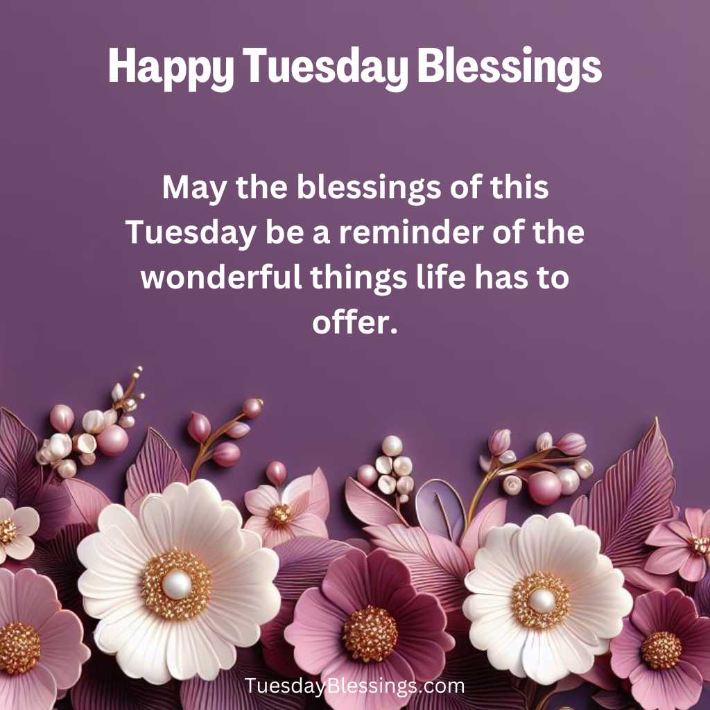 May the blessings of this Tuesday be a reminder of the wonderful things life has to offer.