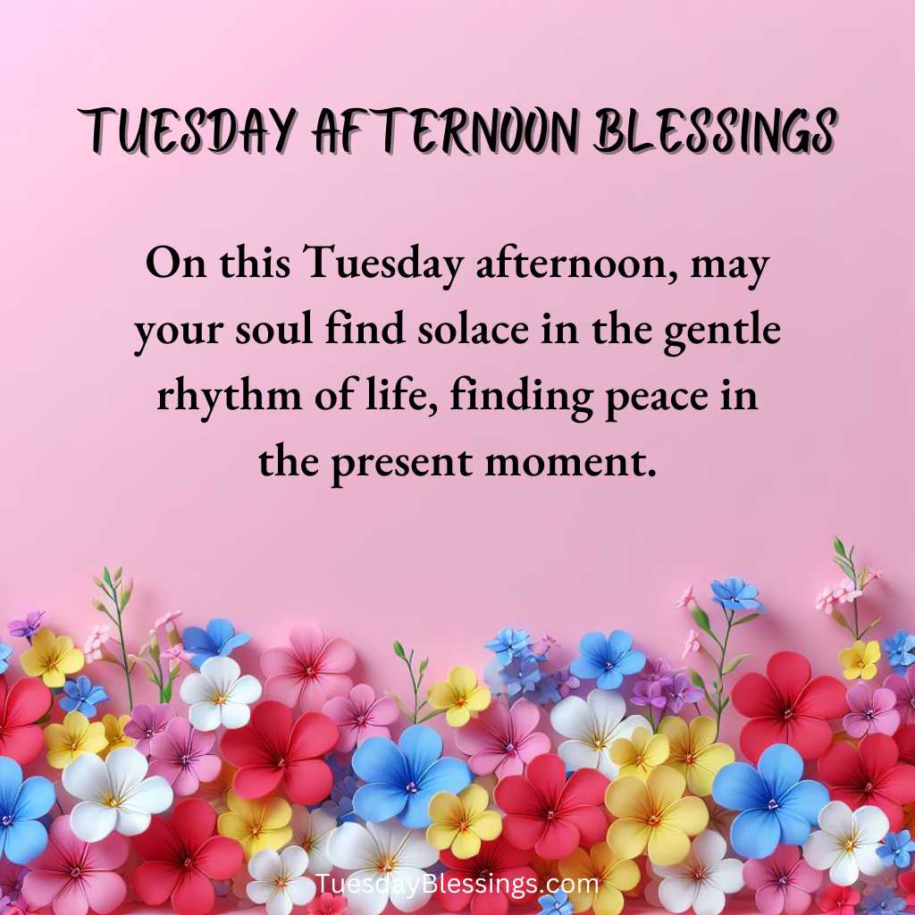On this Tuesday afternoon, may your soul find solace in the gentle rhythm of life, finding peace in the present moment.