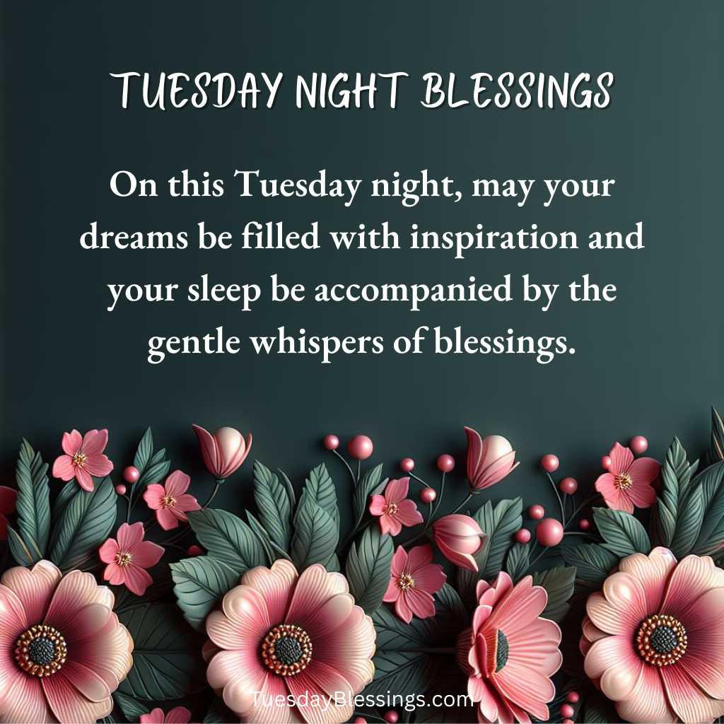 On this Tuesday night, may your dreams be filled with inspiration and your sleep be accompanied by the gentle whispers of blessings.