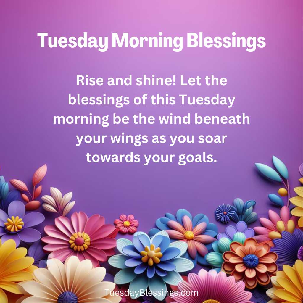 Rise and shine! Let the blessings of this Tuesday morning be the wind beneath your wings as you soar towards your goals.