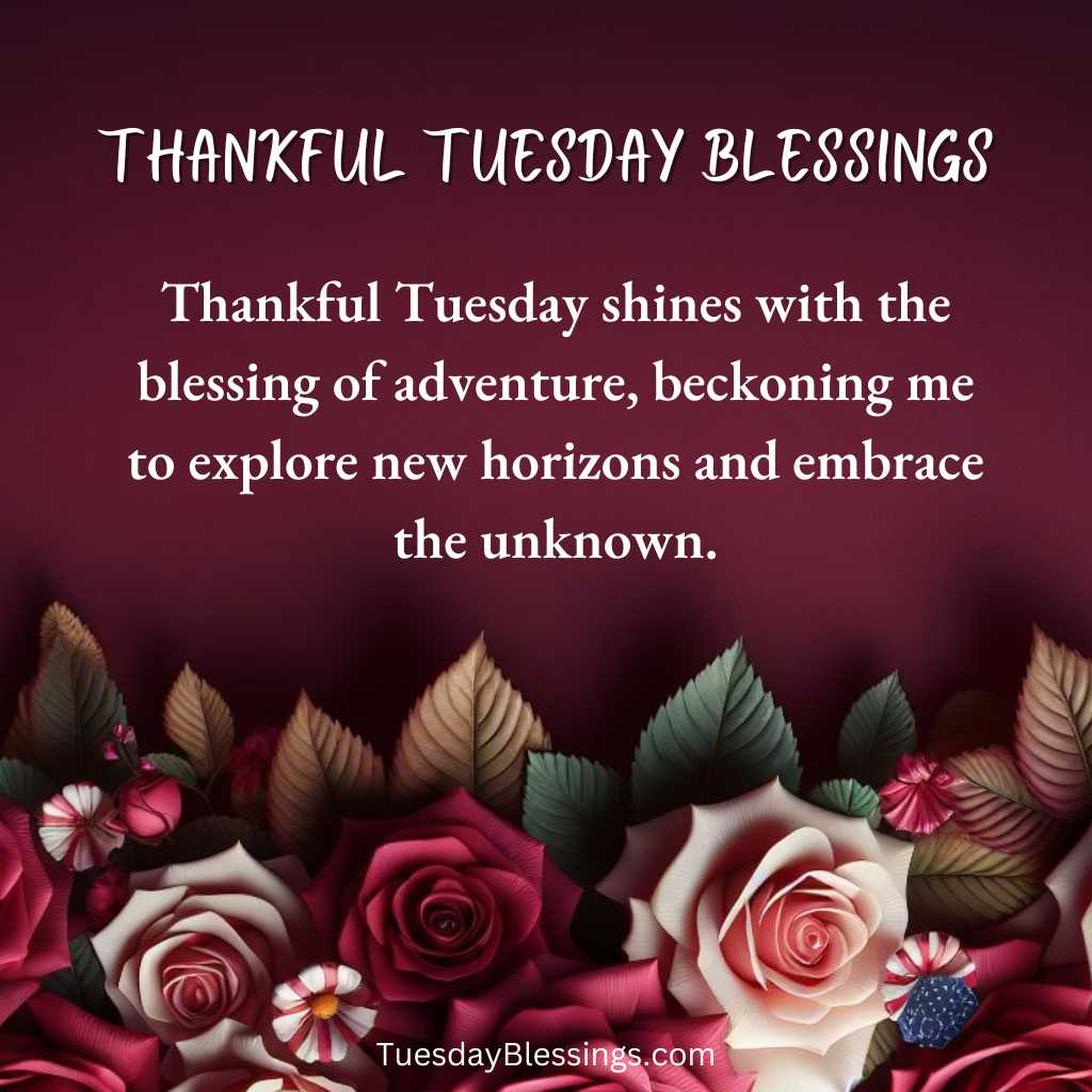 Thankful Tuesday shines with the blessing of adventure, beckoning me to explore new horizons and embrace the unknown.