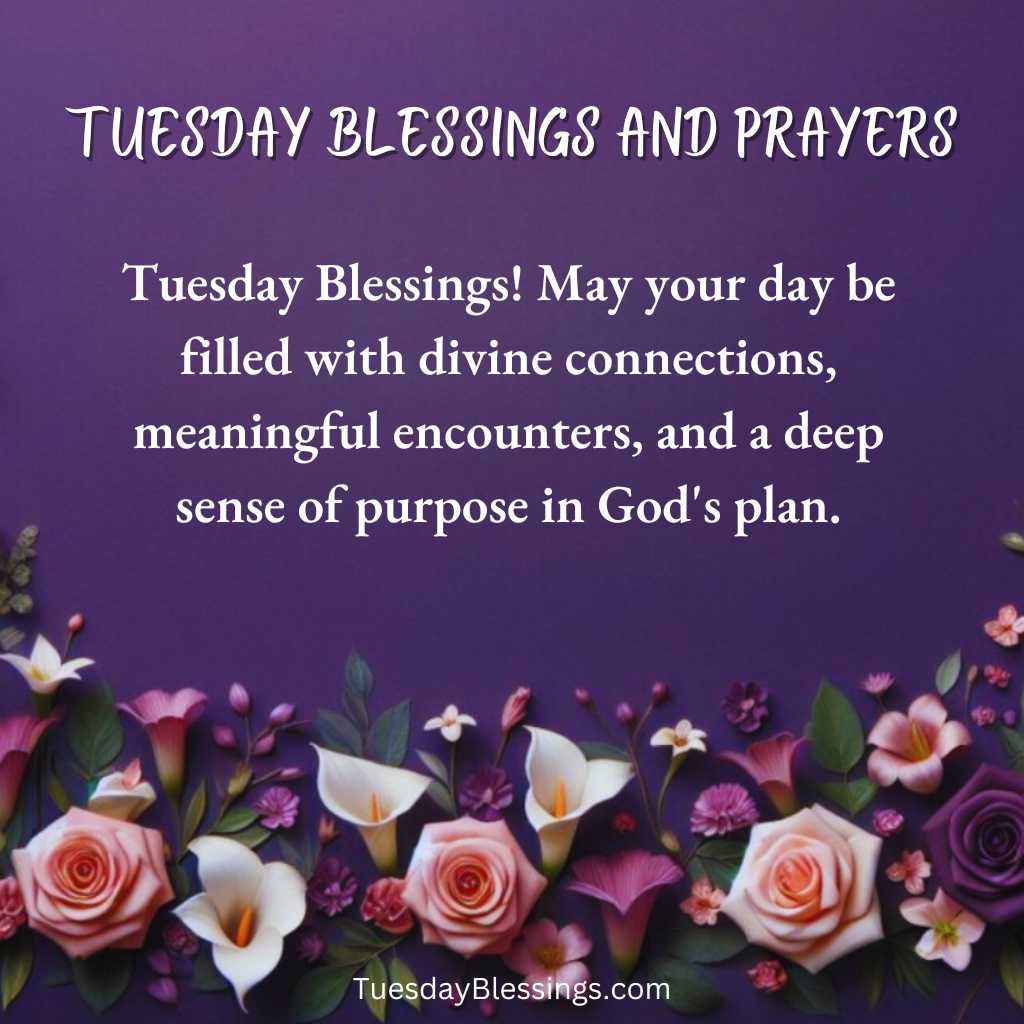 Tuesday Blessings! May your day be filled with divine connections, meaningful encounters, and a deep sense of purpose in God's plan.