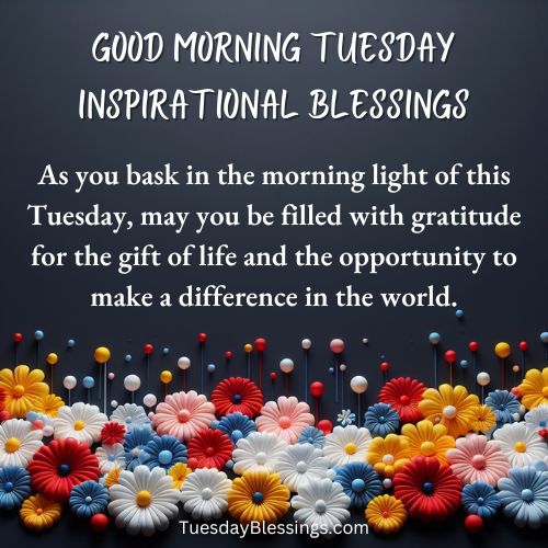 As you bask in the morning light of this Tuesday, may you be filled with gratitude for the gift of life and the opportunity to make a difference in the world.