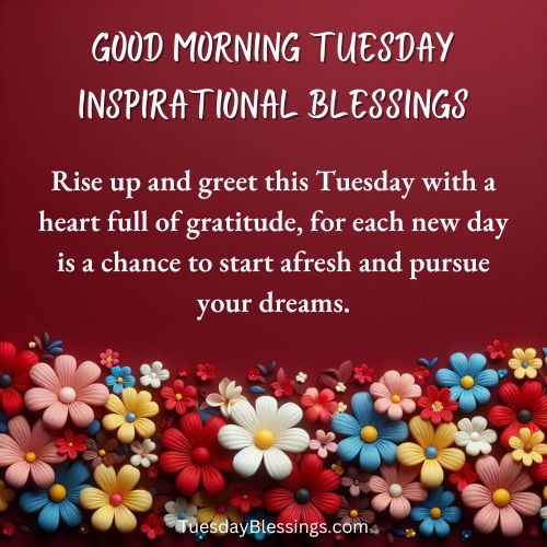 Rise up and greet this Tuesday with a heart full of gratitude, for each new day is a chance to start afresh and pursue your dreams.